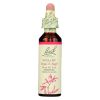 Bach Flower Remedies Essence Willow - 0.7 Fl Oz