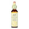Bach Flower Remedies Essence Scleranthus - 0.7 Fl Oz