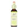 Bach Flower Remedies Essence Honeysuckle - 0.7 Fl Oz