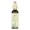 Bach Flower Remedies Essence Agrimony - 0.7 Fl Oz