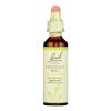 Bach Flower Remedies Essences Chestnut Bud - 0.7 Fl Oz