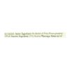 Bach Flower Remedies Essence Pine - 0.7 Fl Oz