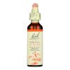 Bach Flower Remedies Essence Mimulus - 0.7 Fl Oz