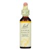 Bach Flower Remedies Essences Hornbeam - 0.7 Fl Oz