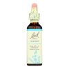 Bach Flower Remedies Essence Chicory - 0.7 Fl Oz